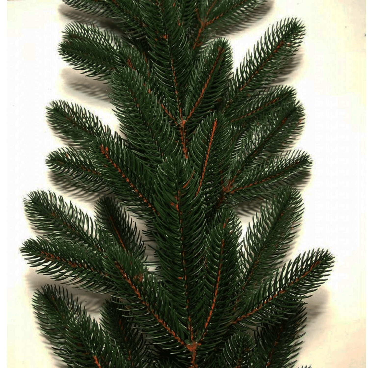 Ace Ghirlandă Green 3D - 190 cm